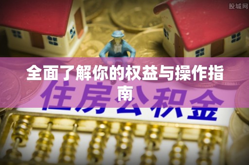 高阳全面了解你的权益与操作指南