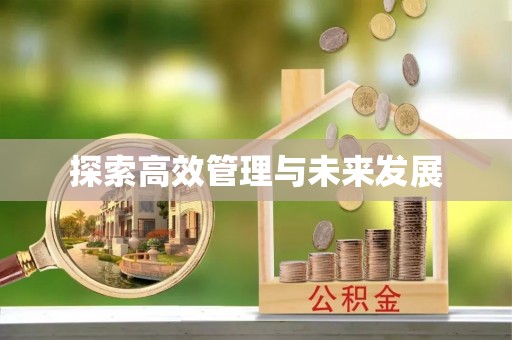 高阳探索高效管理与未来发展