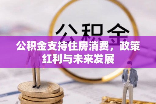 高阳公积金支持住房消费，政策红利与未来发展