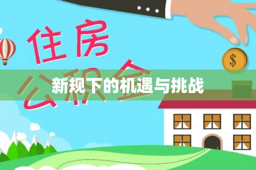 高阳新规下的机遇与挑战
