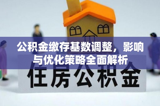 高阳公积金缴存基数调整，影响与优化策略全面解析