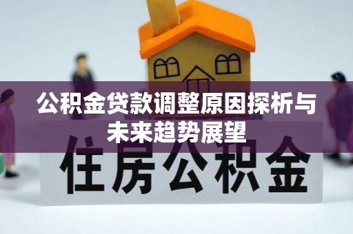高阳公积金贷款调整原因探析与未来趋势展望