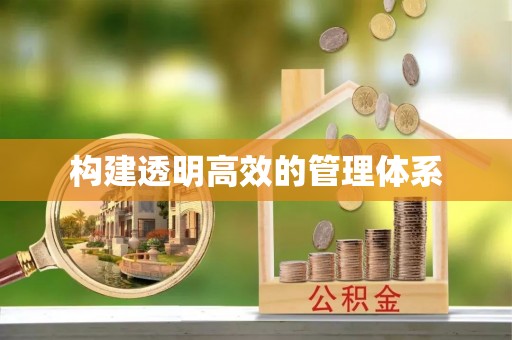 高阳构建透明高效的管理体系