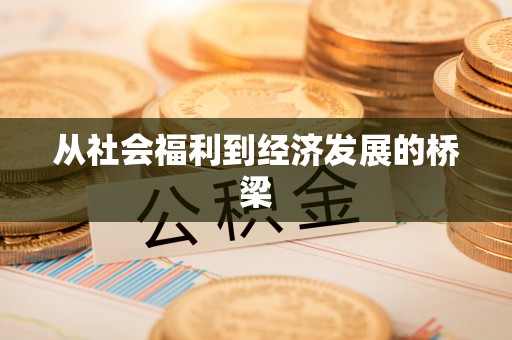 高阳从社会福利到经济发展的桥梁