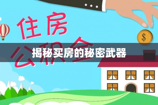 高阳揭秘买房的秘密武器