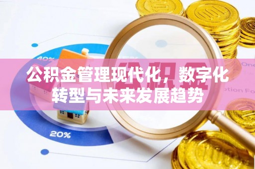 高阳公积金管理现代化，数字化转型与未来发展趋势