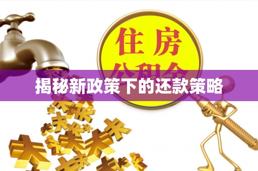 高阳揭秘新政策下的还款策略