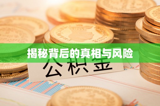 高阳揭秘背后的真相与风险
