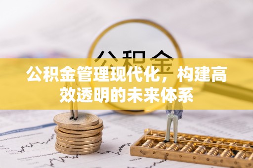 高阳公积金管理现代化，构建高效透明的未来体系
