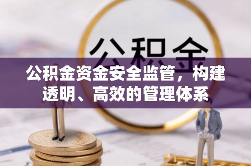 高阳公积金资金安全监管，构建透明、高效的管理体系