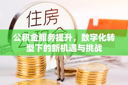 高阳公积金服务提升，数字化转型下的新机遇与挑战