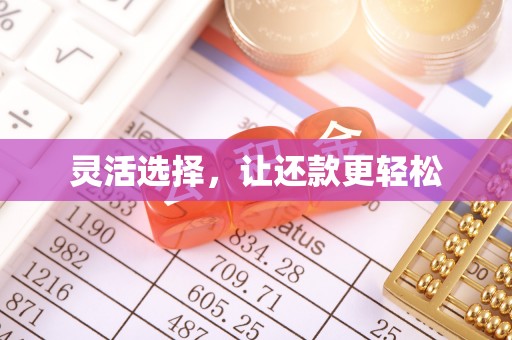 高阳灵活选择，让还款更轻松