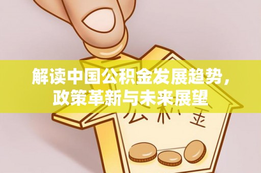 高阳解读中国公积金发展趋势，政策革新与未来展望