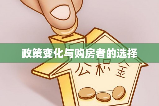 高阳政策变化与购房者的选择