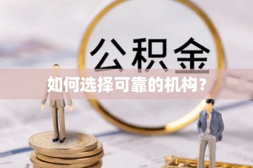 高阳如何选择可靠的机构？