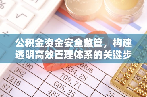高阳公积金资金安全监管，构建透明高效管理体系的关键步骤
