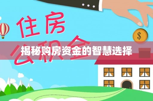 高阳揭秘购房资金的智慧选择