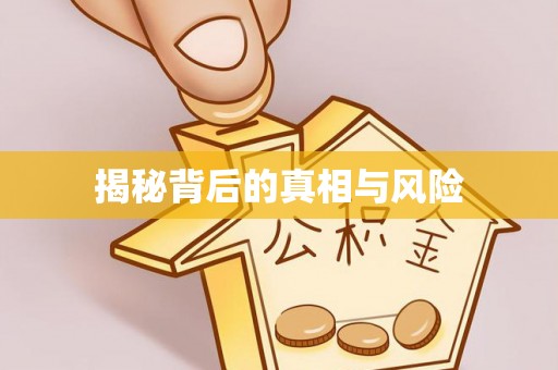 高阳揭秘背后的真相与风险