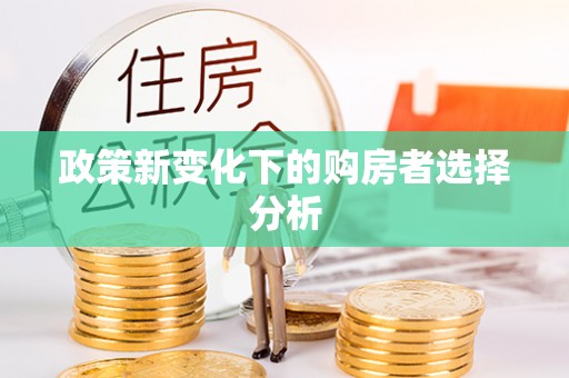 高阳政策新变化下的购房者选择分析