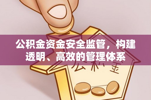 高阳公积金资金安全监管，构建透明、高效的管理体系