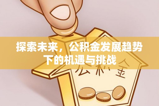 高阳探索未来，公积金发展趋势下的机遇与挑战