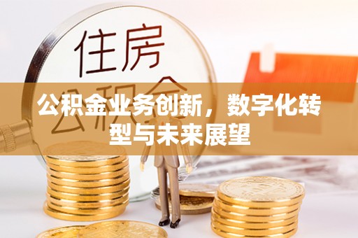 高阳公积金业务创新，数字化转型与未来展望
