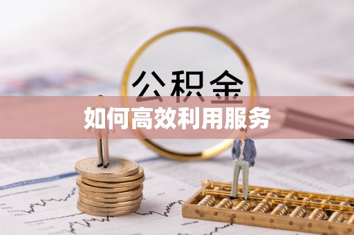 高阳如何高效利用服务