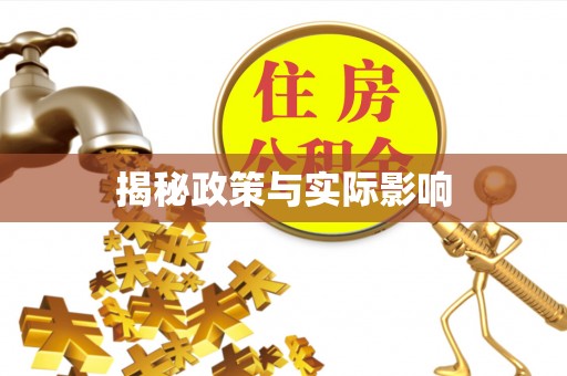 高阳揭秘政策与实际影响