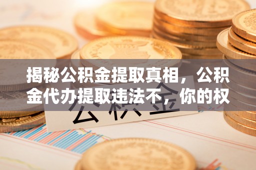 高阳揭秘公积金提取真相，公积金代办提取违法不，你的权益如何保障？