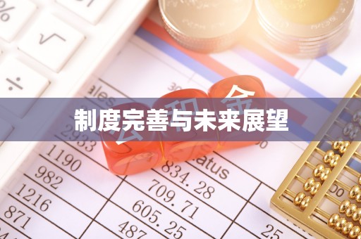 高阳制度完善与未来展望