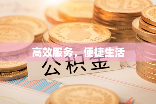 高阳高效服务，便捷生活