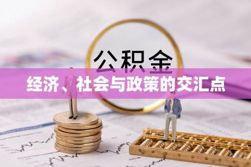 高阳经济、社会与政策的交汇点