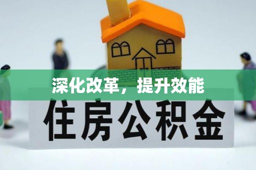 高阳深化改革，提升效能