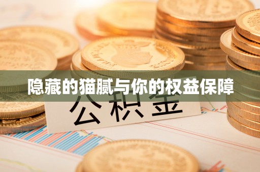 高阳隐藏的猫腻与你的权益保障