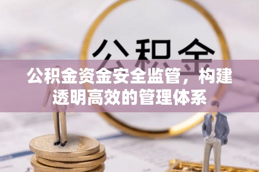 高阳公积金资金安全监管，构建透明高效的管理体系