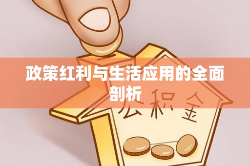 高阳政策红利与生活应用的全面剖析