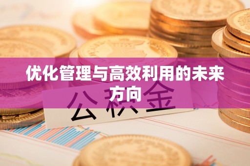 高阳优化管理与高效利用的未来方向