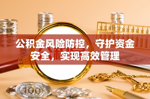 高阳公积金风险防控，守护资金安全，实现高效管理