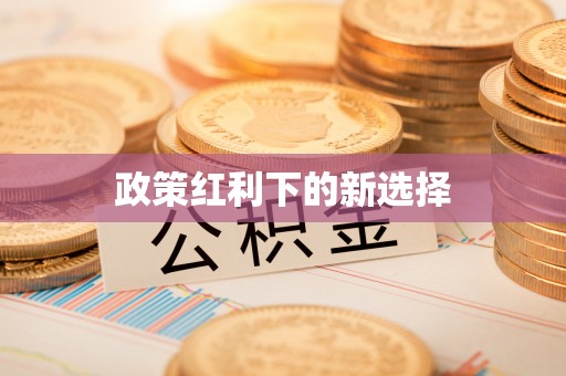 高阳政策红利下的新选择