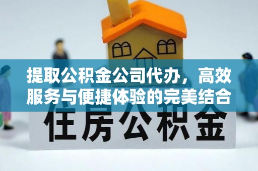 高阳提取公积金公司代办，高效服务与便捷体验的完美结合