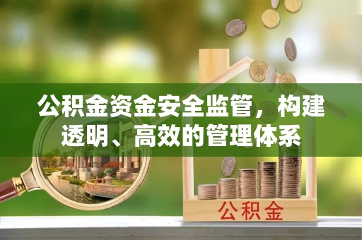 高阳公积金资金安全监管，构建透明、高效的管理体系