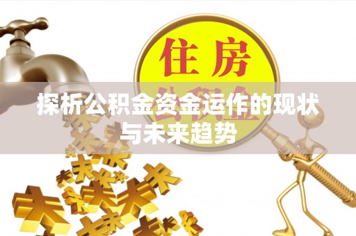 高阳探析公积金资金运作的现状与未来趋势