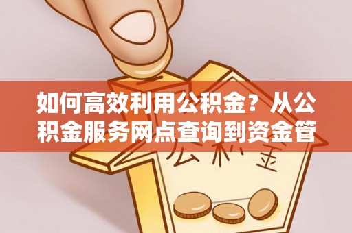 高阳如何高效利用公积金？从公积金服务网点查询到资金管理全攻略