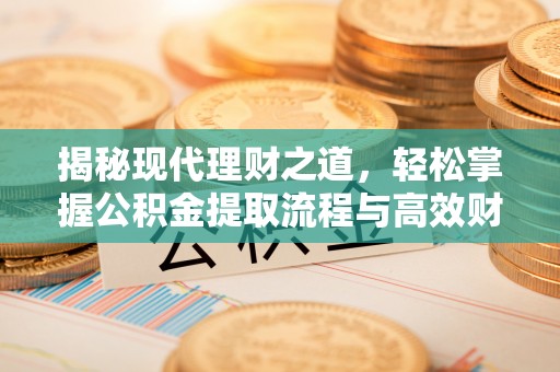 高阳揭秘现代理财之道，轻松掌握公积金提取流程与高效财务规划