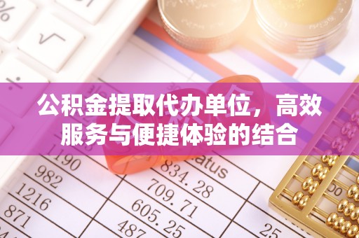 高阳公积金提取代办单位，高效服务与便捷体验的结合