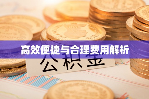 高阳高效便捷与合理费用解析