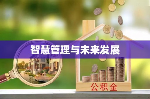 高阳智慧管理与未来发展