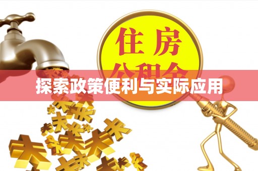高阳探索政策便利与实际应用