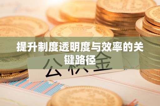 高阳提升制度透明度与效率的关键路径