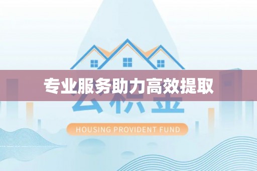 高阳专业服务助力高效提取